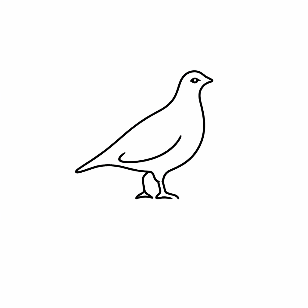 Ptarmigan Clockworks